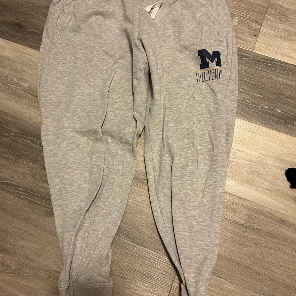 Gray Wolverine Sweatpants
